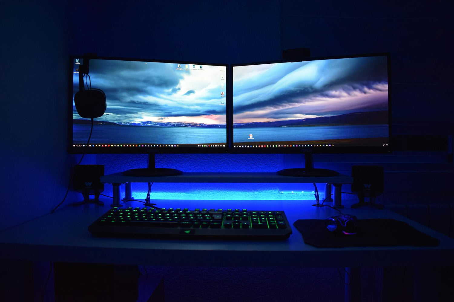 Monitory