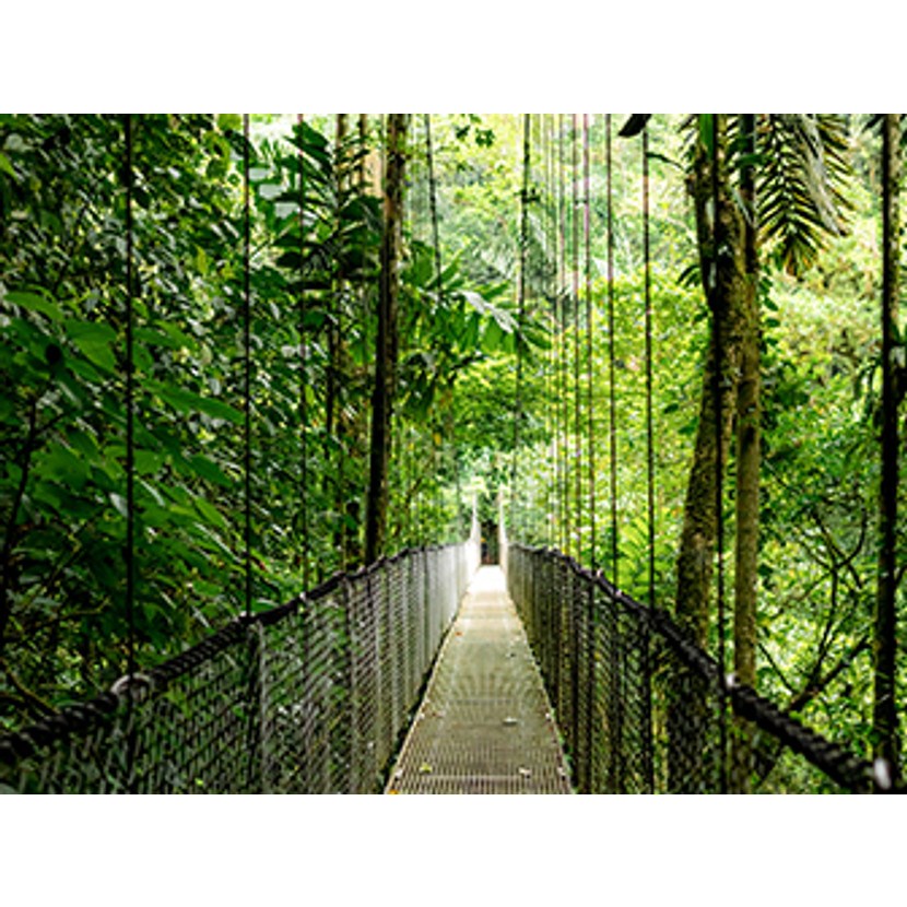 HP EliteBook 6 G1a Ryzen AI 5 340 14.0"WUXGA IPS 300nits AG 16GB DDR5 5600 SSD512 5MP+IR Radeon 840M W11Pro Pike Silver aluminium 3Y OnSite