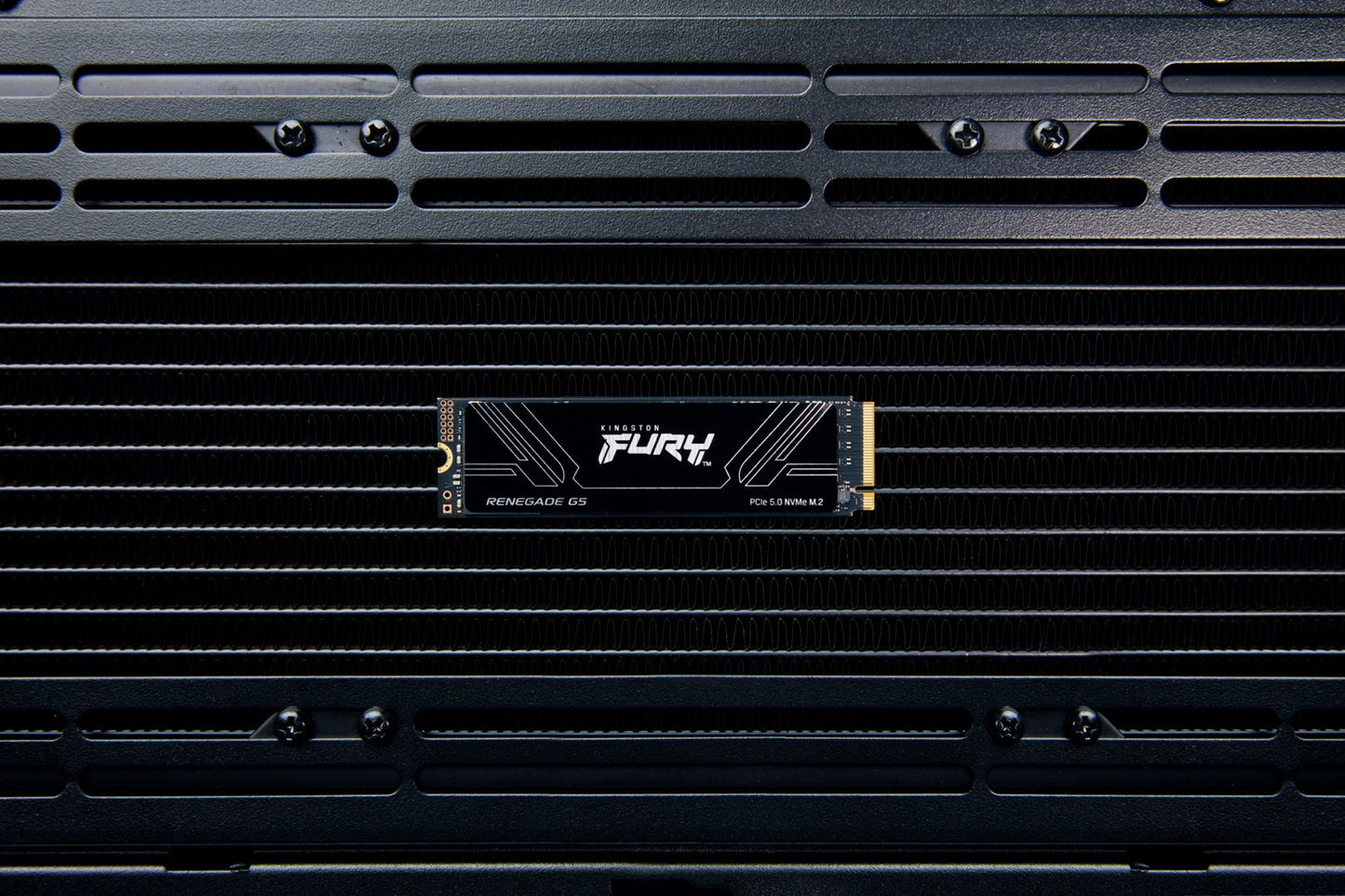 KINGSTON DYSK SSD SFYR2S/1T0 1TB FURY Ren. NVMe
