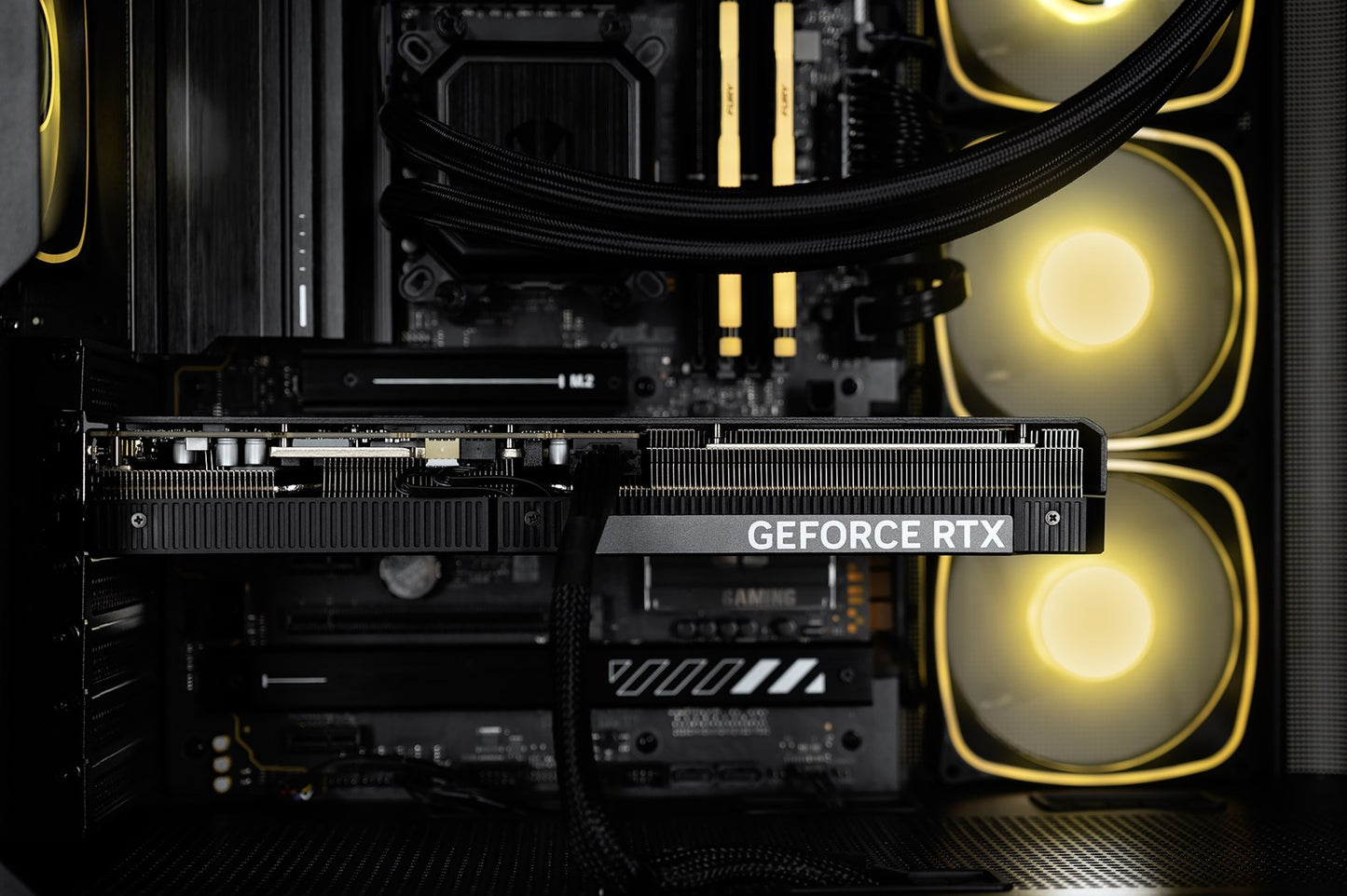 Actina Selection   9950X3D/32GB/2TB/RTX5080/850W/W