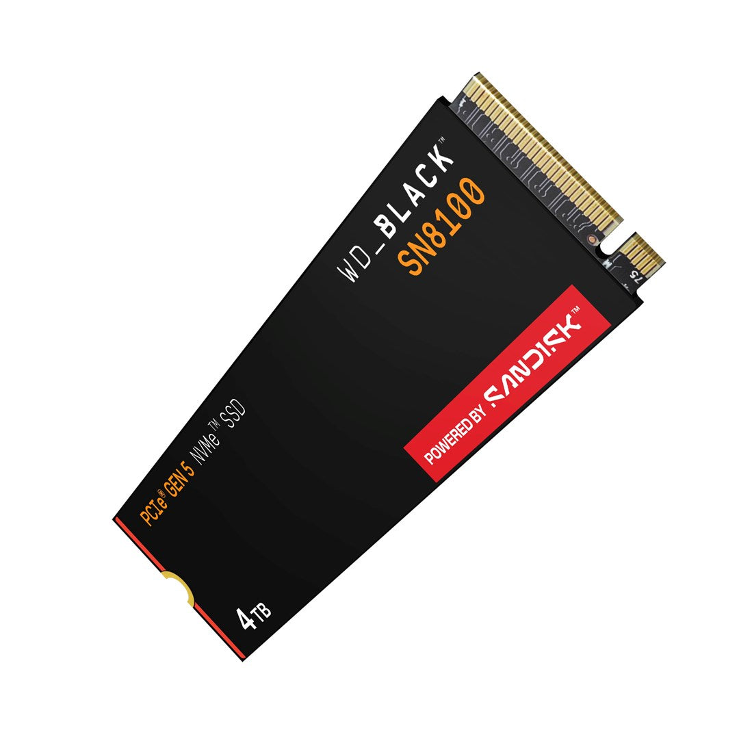 SSD WD Black SN8100 w/o HS 4TB  WDS400T1X0M