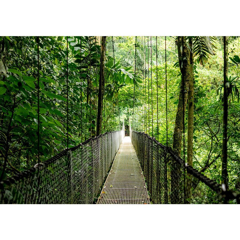 HP EliteBook 6 G1a Ryzen AI 5 340 14.0"WUXGA IPS 300nits AG 16GB DDR5 5600 SSD512 5MP+IR Radeon 840M W11Pro Pike Silver aluminium 3Y OnSite