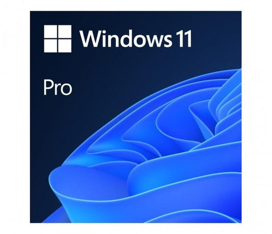 Microsoft Windows 11 PRO 64bit PL 1pk DVD OEM